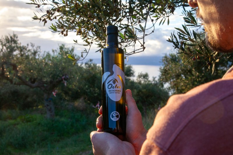 Oelea Bio-Olivenöl mit Bird-Safe-Siegel im Olivenhain der Mani in Griechenland